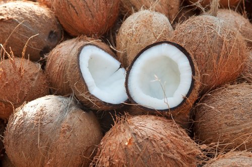 Organic semi husked coconut